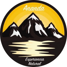 64d4fb392942efa2adefea18_ananda